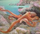 About Mollusks: A Guide for Children (Paperback)