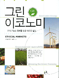 그린 이코노미 : 지속 가능한 경제를 향한 13가지 실천 표지이미지