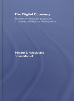 The digital economy : business organization, production processes and regional developments