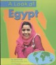 A Look at Egypt (Paperback)