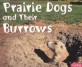 Prairie Dogs and Their Burrows (Paperback)