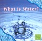 What Is Water? (Paperback)