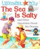 (The) Sea Is Salty : and <span>o</span>ther questi<span>o</span>ns ab<span>o</span>ut the <span>o</span>ceans