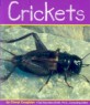 Crickets (Paperback)