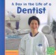 A Day in the Life of a Dentist (Paperback)