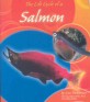 The Life Cycle of a Salmon (Paperback)
