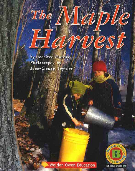 (The)Maple harvest