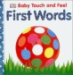 Baby Touch and Feel First Words (Board Book)