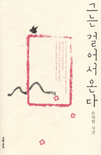 그는 걸어서 온다 : 윤제림 시집