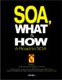 SOA, what & how : a road to SOA 표지이미지