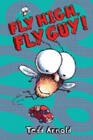 Fly high, fly guy! 표지이미지