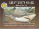 Great White Shark : Ruler of the sea