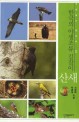 한국의 야생 조류 길잡이 : 산새