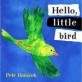 Hello, Little Bird (Hardcover)
