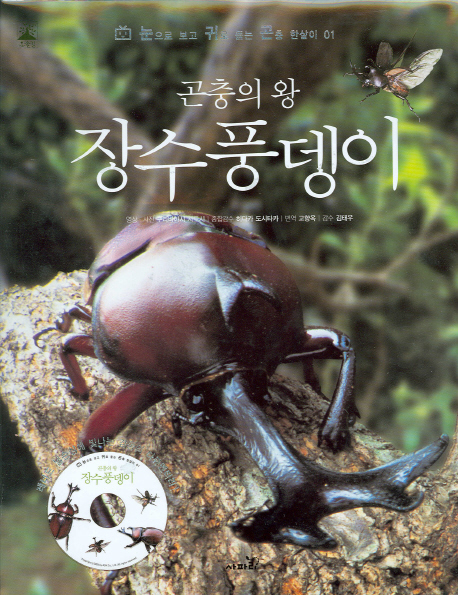 (곤충의 왕) 장수풍뎅이 