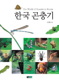 한국 곤충기 표지 이미지