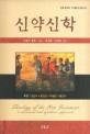 신약신학 : 정경적, 종합적 접근 표지 이미지