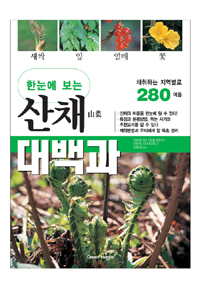 (한눈에 보는)산채山菜 대백과