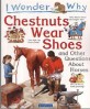 (I wonder why)Chestnuts wear shoes and other questions about horses