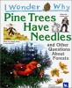 (I wonder why)Pine trees have needles and other questions about forests