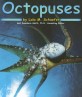 Octopuses (Paperback)