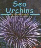 Sea Urchins (Paperback)