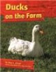 Ducks on the Farm (Paperback)
