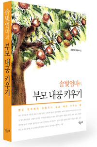 (솔빛엄마의) 부모 내공 키우기 표지 이미지