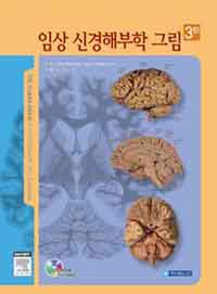 임상 신경해부학 그림