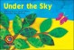 Learn To Read  Bigbook: Under the Sky (Paperback)