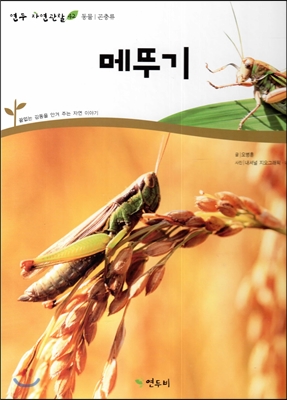 메뚜기 표지 이미지
