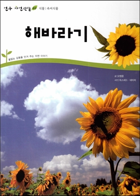 해바라기 표지 이미지