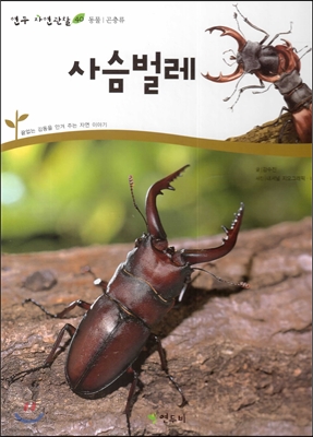사슴벌레 표지 이미지