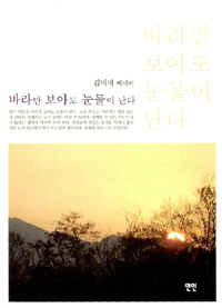 바라만 보아도 눈물이 난다 : 김미자 에세이 표지 이미지