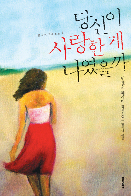 당신이 사랑한 게 나였을까 : 빈첸초 체라미 장편소설