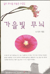 가을빛 무늬 : 심성희 수필집 표지이미지
