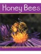 Honey Bees (Paperback)