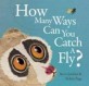 How Many Ways Can You Catch a Fly