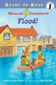 Flood! (Paperback)