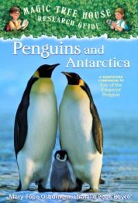 Penguins and Antarctica: eve of the emperor penguin