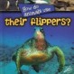 How do animals use their flippers?