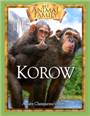 Korow:ababychimpanzeesstory