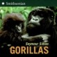 Gorillas (Hardcover)