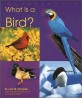 What Is a Bird? (: 뻐끔뻐끔 어류)