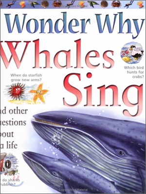 Whales sing : And other questions about sea life