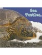 Sea Turtles, What Do You Do? (Board Book)