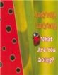 Ladybug, Ladybug, What Are You Doing? (Board Book)
