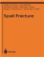 Spall fracture