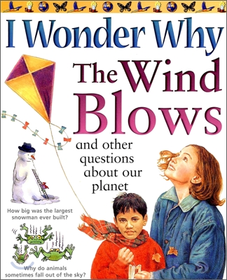 (The)wind blows : And other questions about our planet