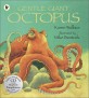 (Gentle giant)octopus